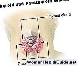 Posizione della ghiandola paratiroide, anatomia, sangue e rifornimento nervoso