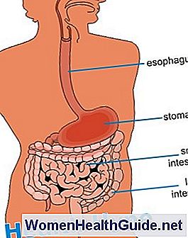 Malattie infiammatorie intestinali (IBD) Differenze, cause, sintomi