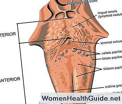 Intorpidimento e formicolio della lingua (parestesia)