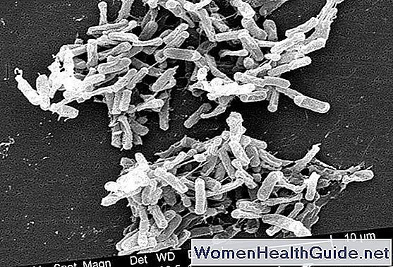 Colite pseudomembranosa (infezione da Clostridium difficile)