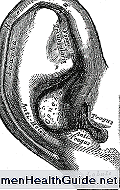 Zartes äußeres Ohr (Aurikel) und Ursachen der Schmerz