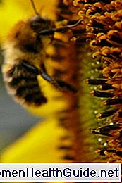 Benefici per la salute del polline d'api