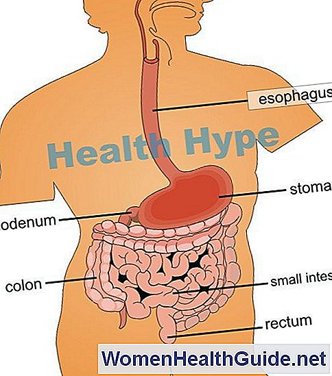 Tipos De Duodenitis Inflamación Duodenal Causas Síntomas Tratamiento 💊 