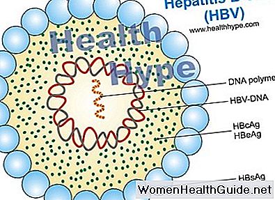 Hepatitis A, B, C Labortests, Ergebnisse und Bedeutung
