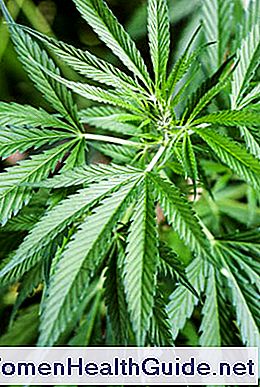 Medizinische Anwendungen von Cannabis